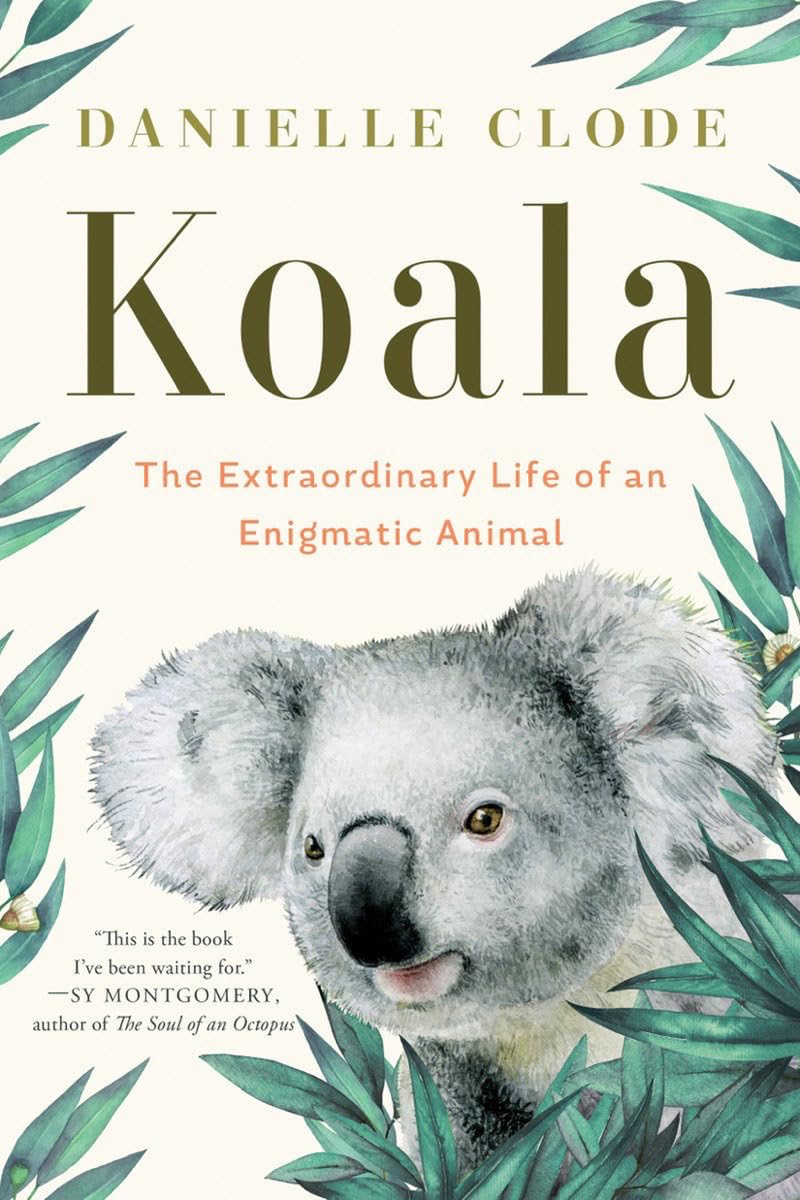その他 THE KOALA: A Natural History The Koala Small Enough to Cuddle Like a Cat - The New York Times